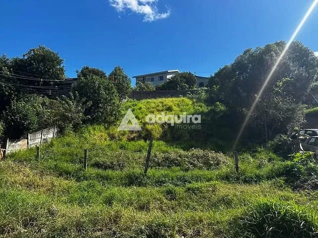 Terreno com 525m², à venda, no bairro Contorno em Ponta Grossa