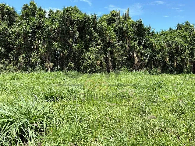 Terreno com 250m², à venda, no bairro Residencial Europa em Holambra