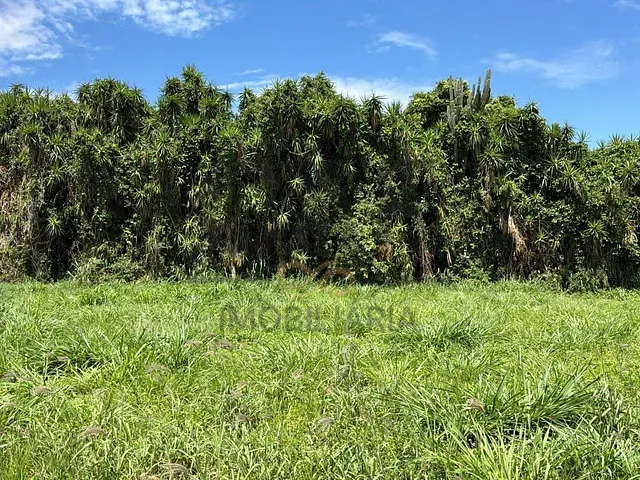 Terreno com 250m², à venda, no bairro Residencial Europa em Holambra