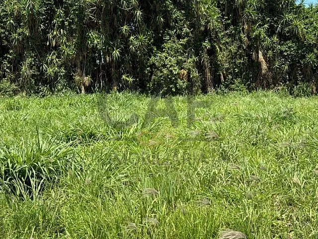 Terreno com 250m², à venda, no bairro Residencial Europa em Holambra