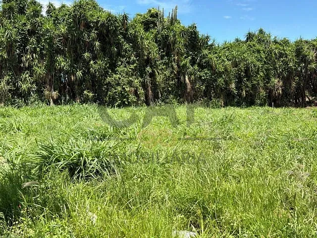 Terreno com 250m², à venda, no bairro Residencial Europa em Holambra