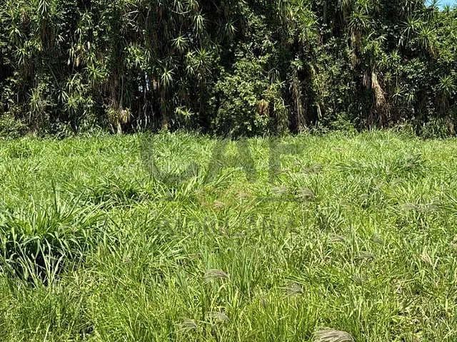 Terreno com 250m², à venda, no bairro Residencial Europa em Holambra