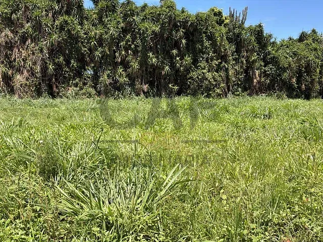 Terreno com 250m², à venda, no bairro Residencial Europa em Holambra