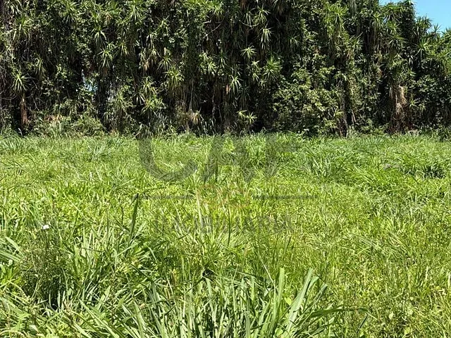 Terreno com 250m², à venda, no bairro Residencial Europa em Holambra