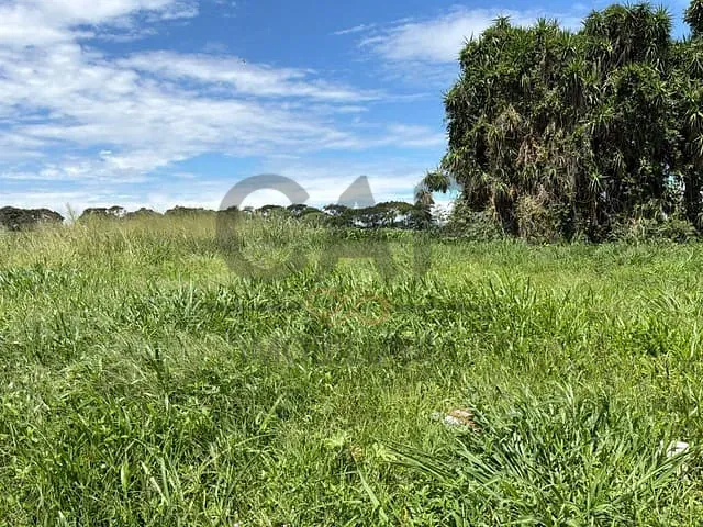 Terreno com 250m², à venda, no bairro Residencial Europa em Holambra