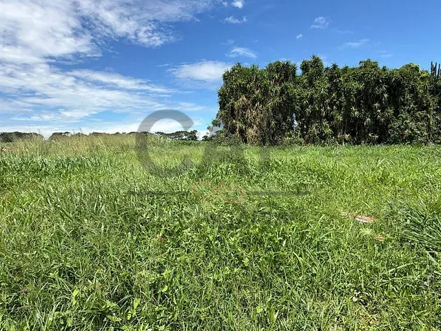 Terreno com 250m², à venda, no bairro Residencial Europa em Holambra