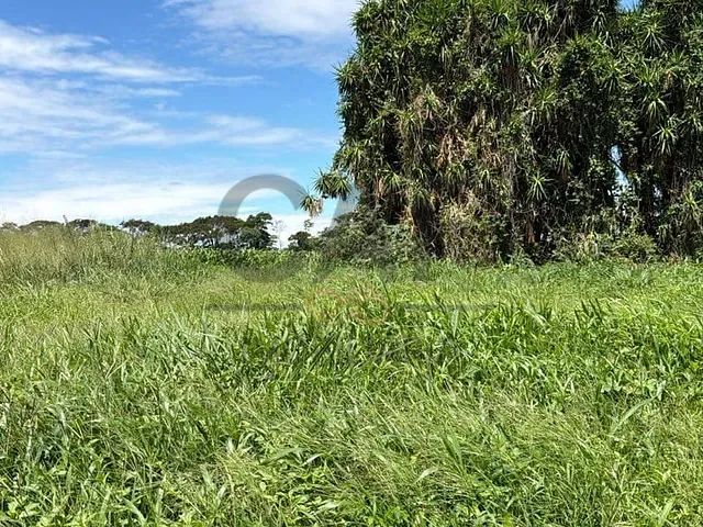 Terreno com 250m², à venda, no bairro Residencial Europa em Holambra