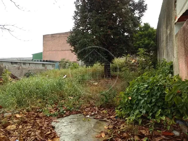 Terreno com 350m², à venda, no bairro Vila Santa Maria em São Paulo