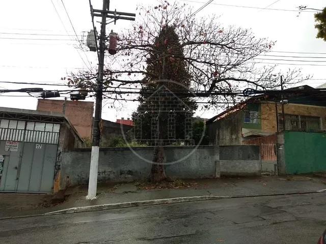 Terreno com 350m², à venda, no bairro Vila Santa Maria em São Paulo