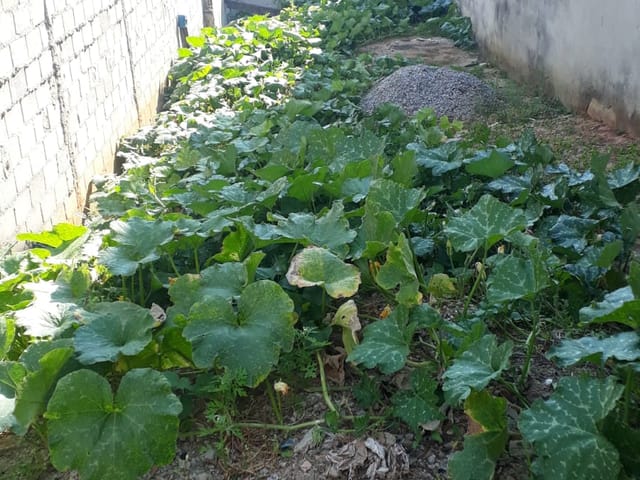 Terreno com 125m², à venda, no bairro Jardim Marlene Miranda em Taubaté