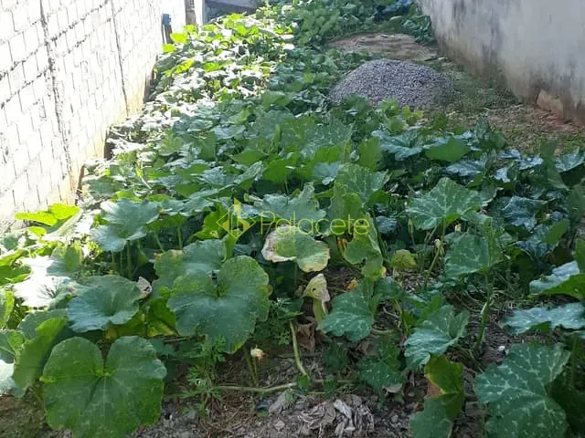Terreno com 125m², à venda, no bairro Jardim Marlene Miranda em Taubaté