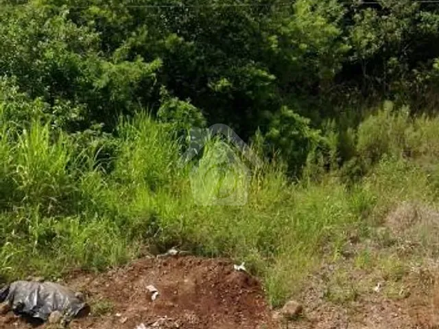 Terreno com 336m², à venda, no bairro Centro em Colinas