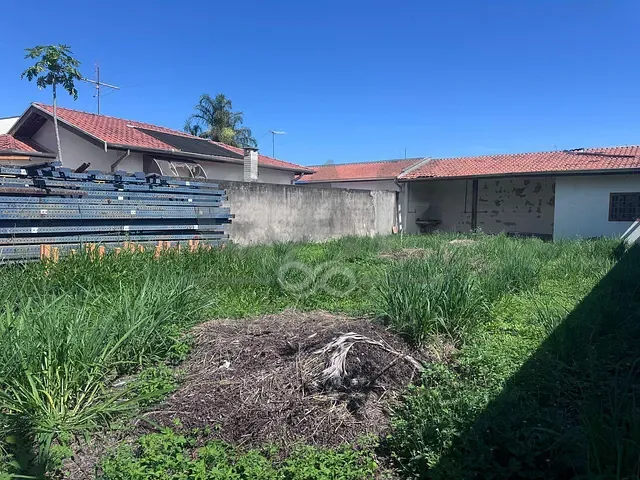 Terreno com 250m², à venda, no bairro jardim das Tulipas em Holambra