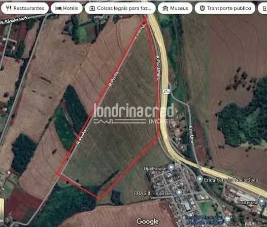 Terreno, 2 hectares - Foto 8