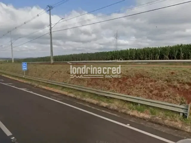 Terreno com 21500m², à venda, no bairro Jardim Villa Nossa Senhora da conceição em Apucarana