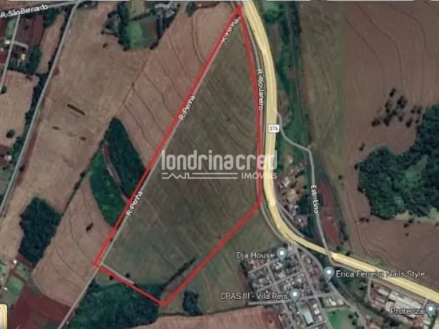 Terreno com 21500m², à venda, no bairro Jardim Villa Nossa Senhora da conceição em Apucarana
