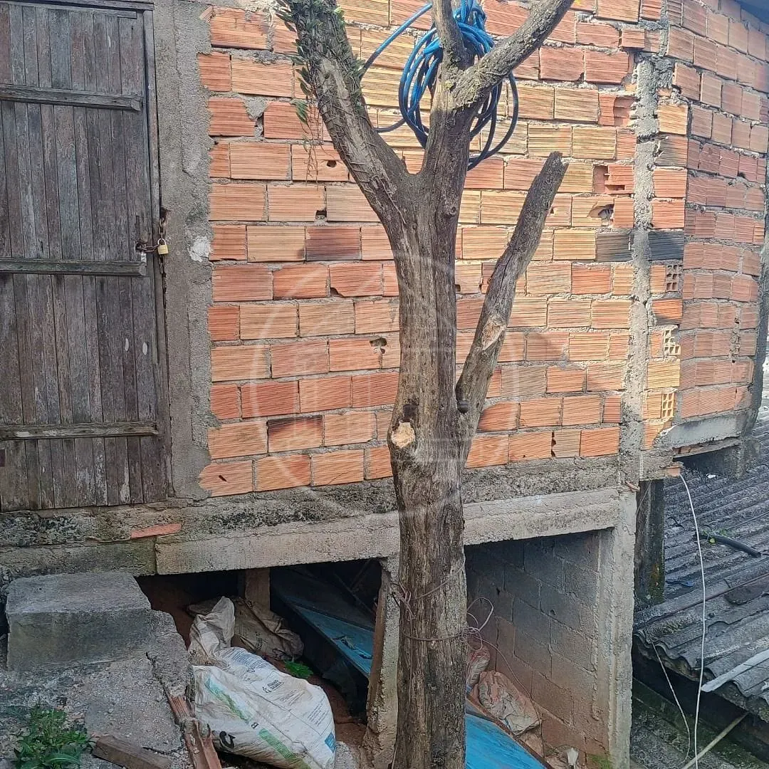 Terreno, 289 m² - Foto 3