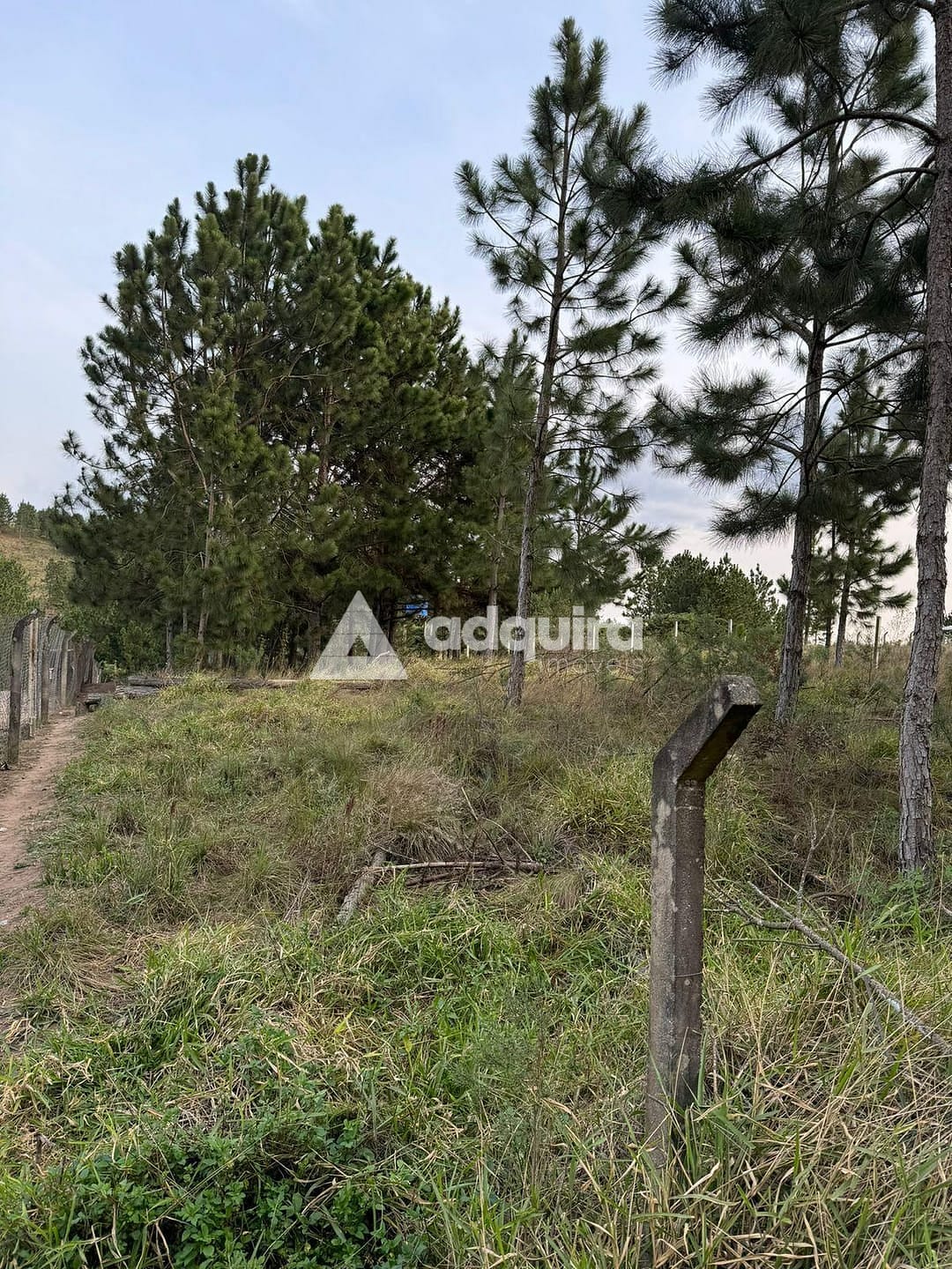 Terreno, 1000 m² - Foto 6