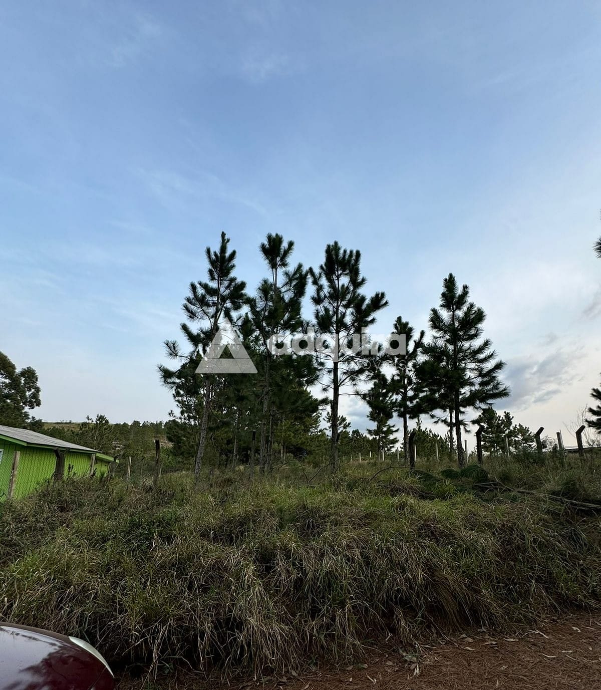 Terreno, 1000 m² - Foto 5