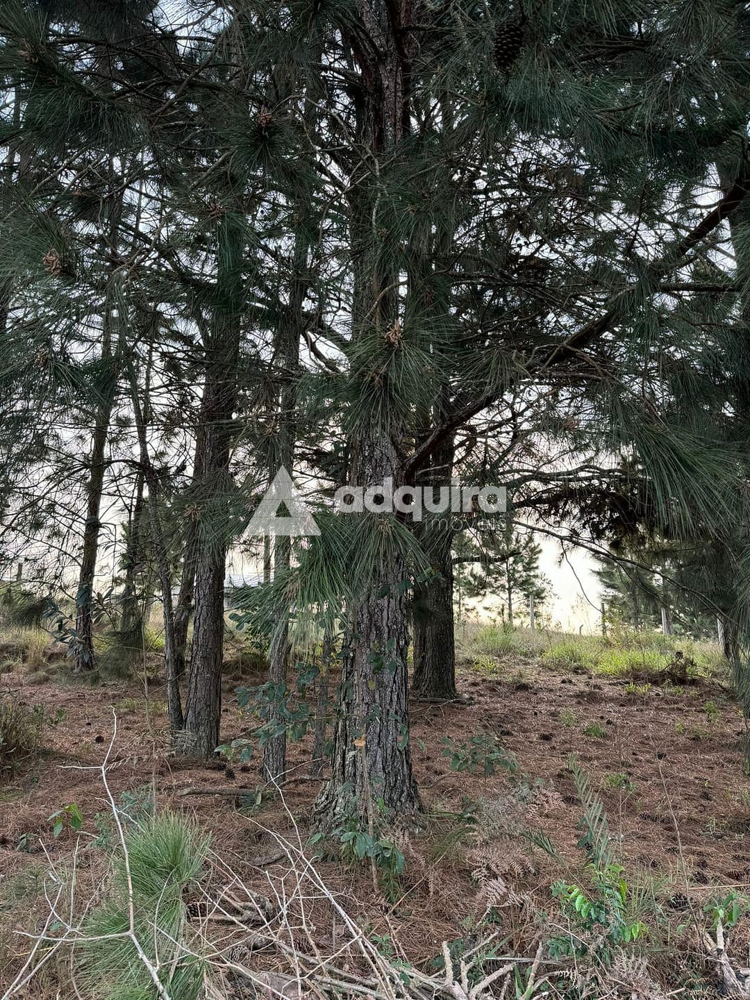 Terreno, 1000 m² - Foto 3