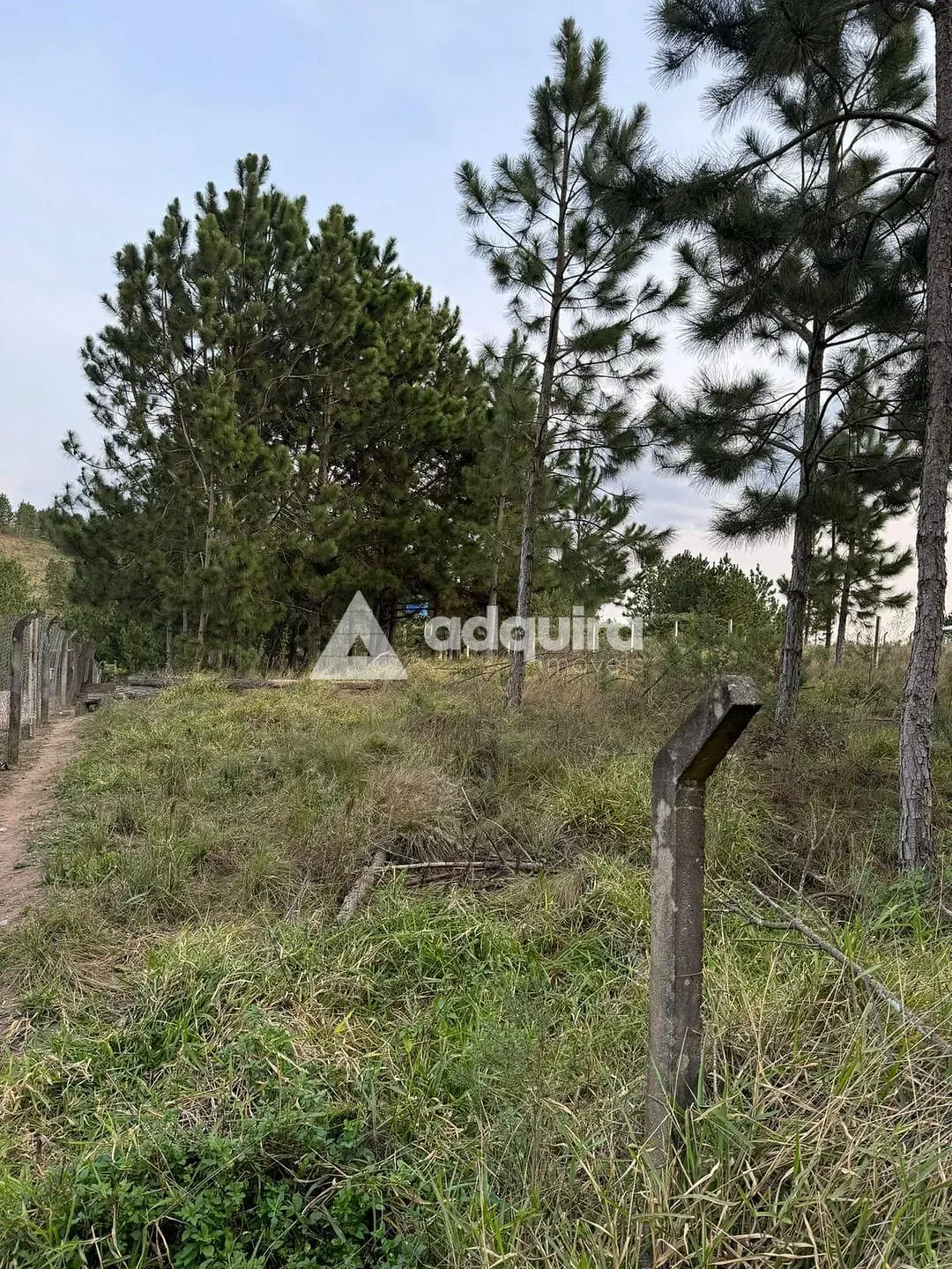 Terreno, 1000 m² - Foto 6