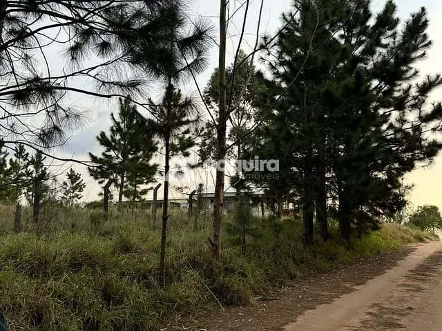 Terreno com 1000m², à venda, no bairro Alagados em Ponta Grossa