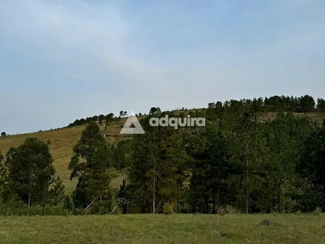 Terreno com 1000m², à venda, no bairro Alagados em Ponta Grossa