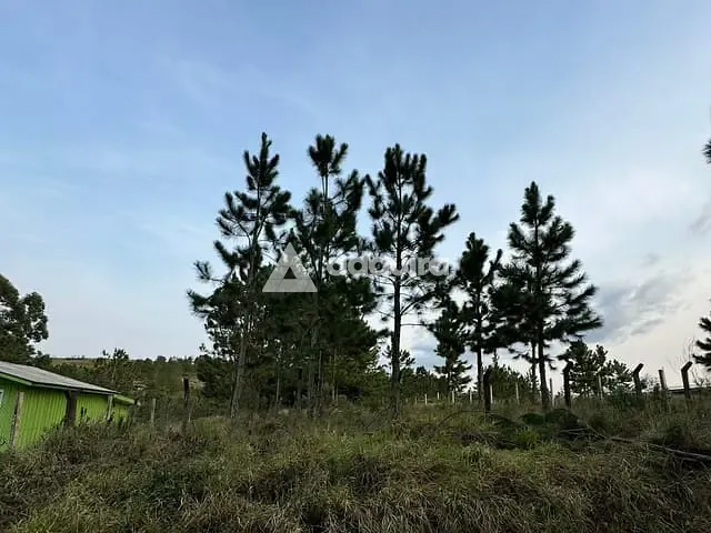 Terreno com 1000m², à venda, no bairro Alagados em Ponta Grossa