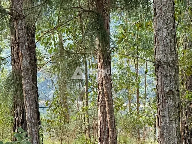Terreno com 1000m², à venda, no bairro Alagados em Ponta Grossa