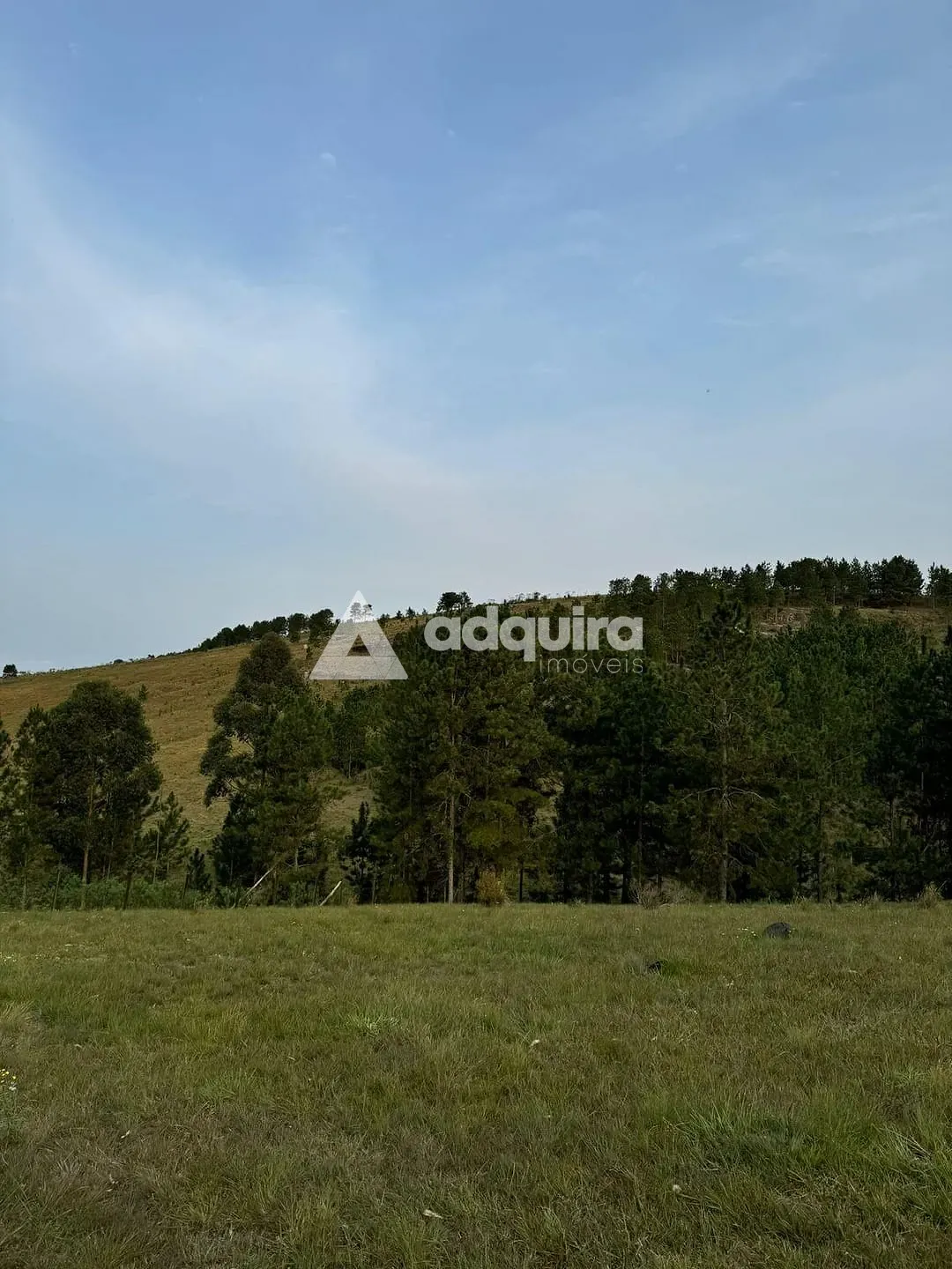Terreno, 1000 m² - Foto 1