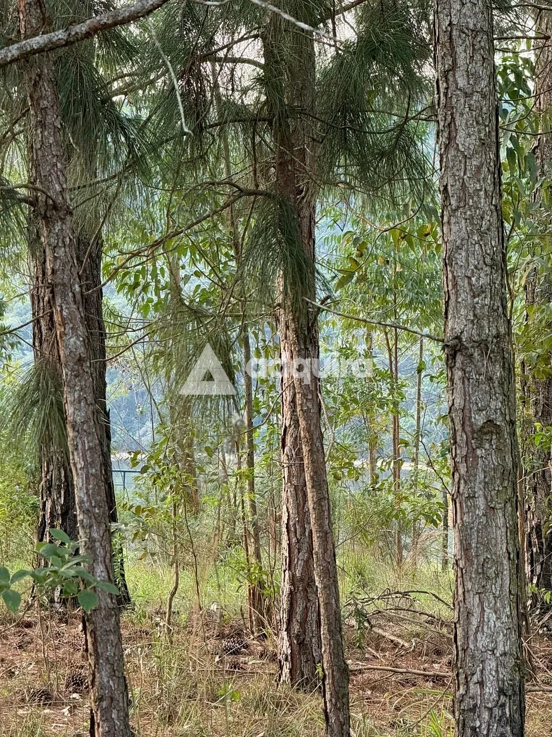 Terreno, 1000 m² - Foto 2