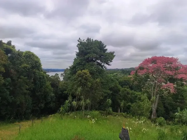 Terreno à venda, no bairro Vila Torres em Campo Largo