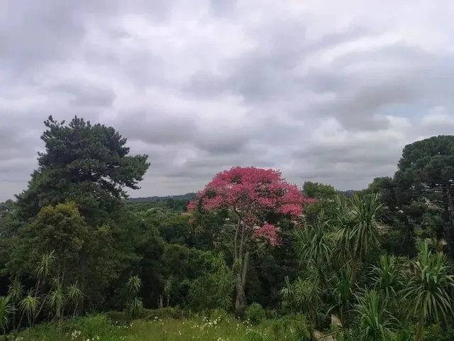Terreno à venda, no bairro Vila Torres em Campo Largo