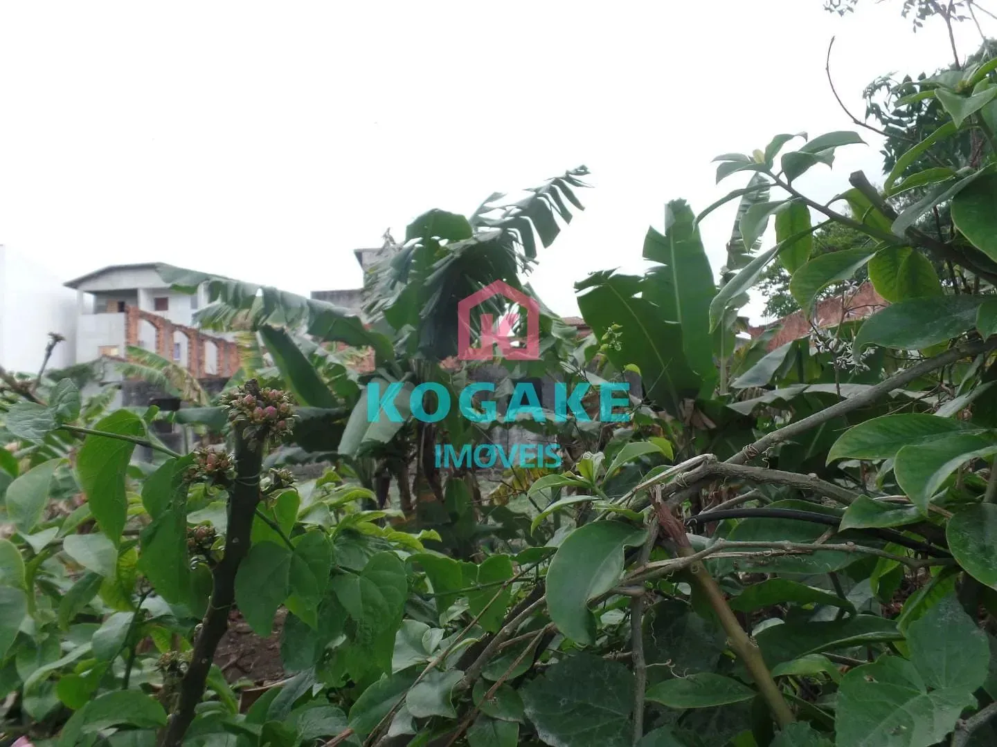 Terreno, 1336 m² - Foto 4