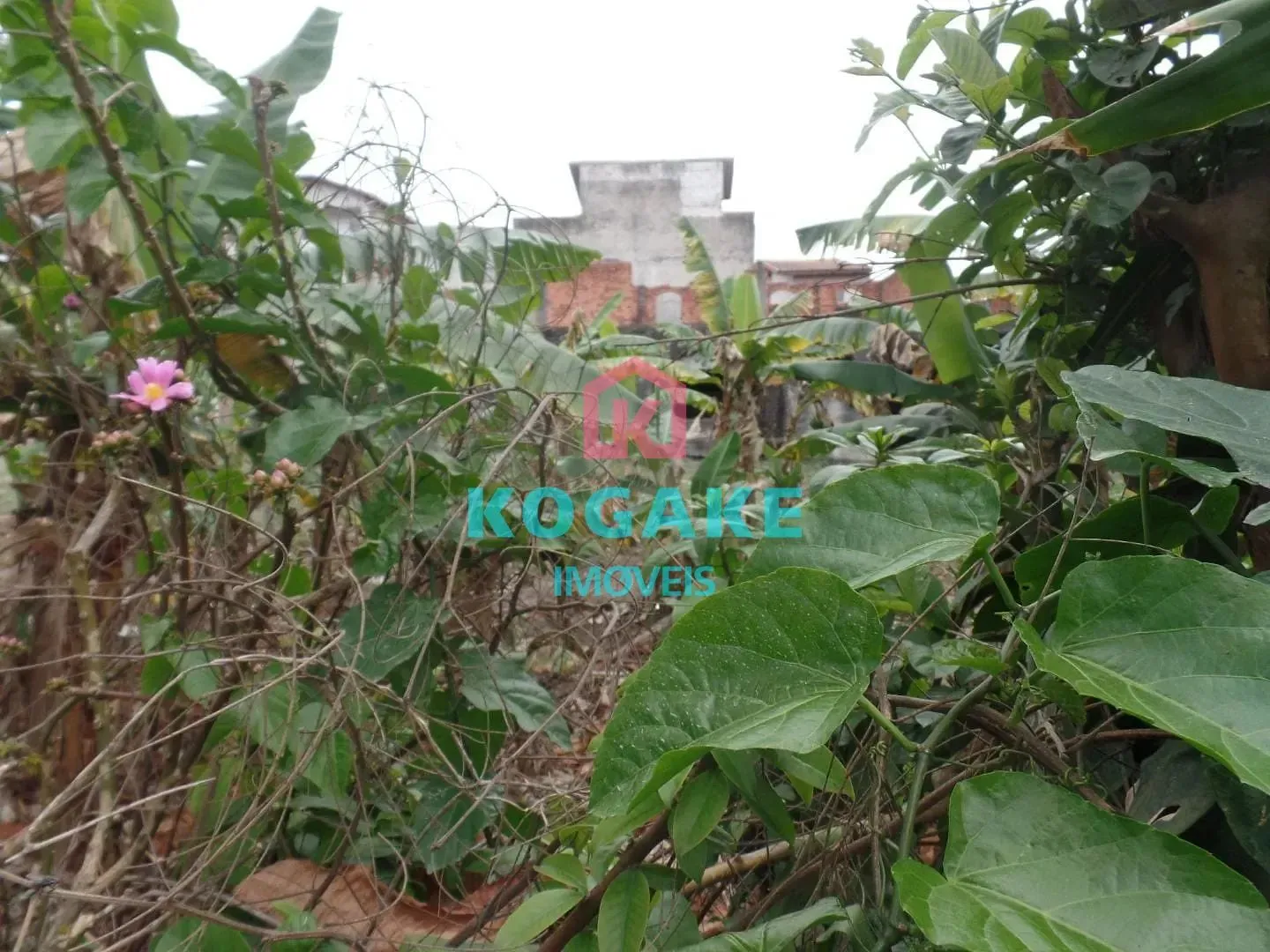 Terreno, 1336 m² - Foto 6