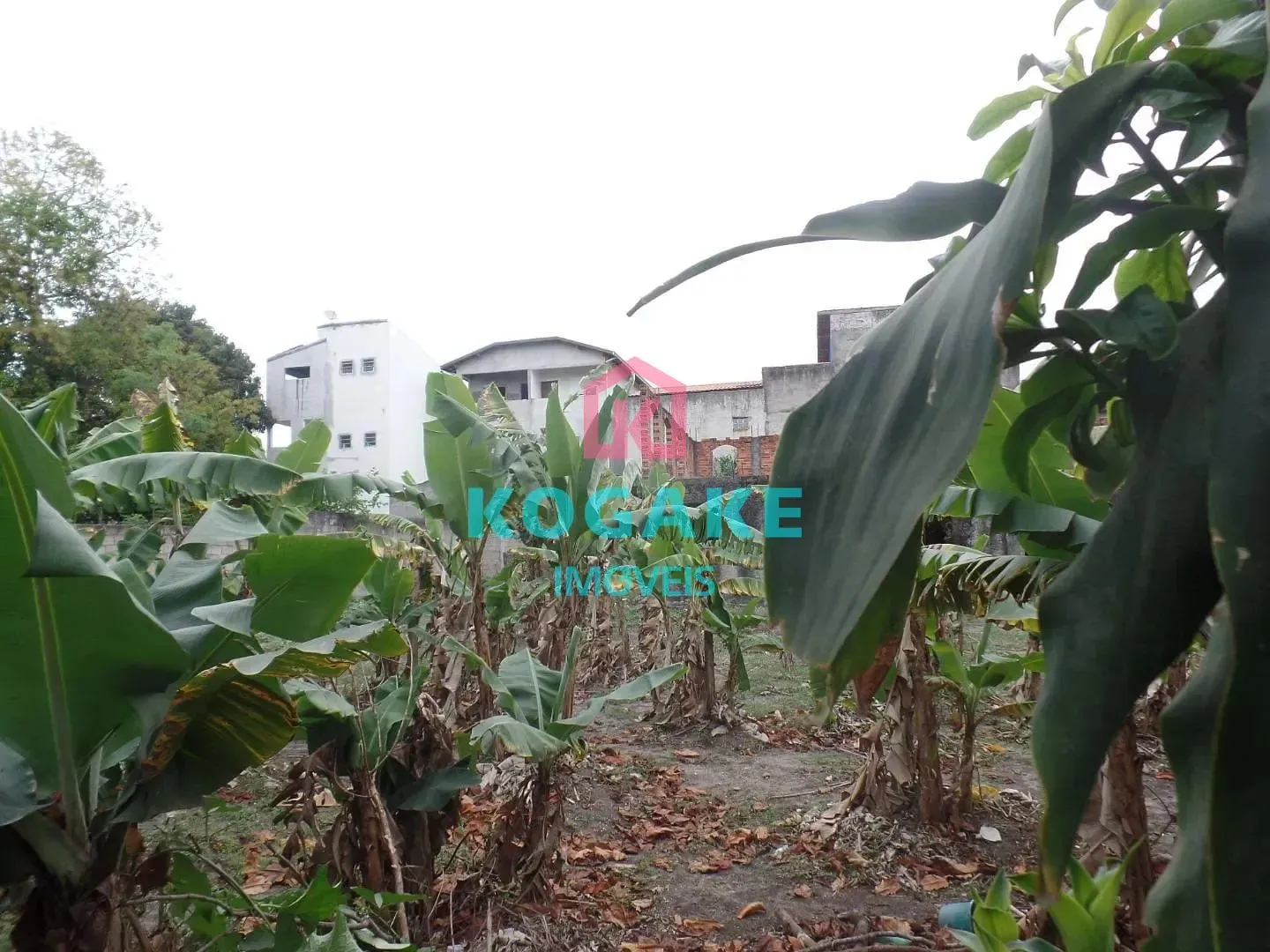 Terreno, 1336 m² - Foto 9