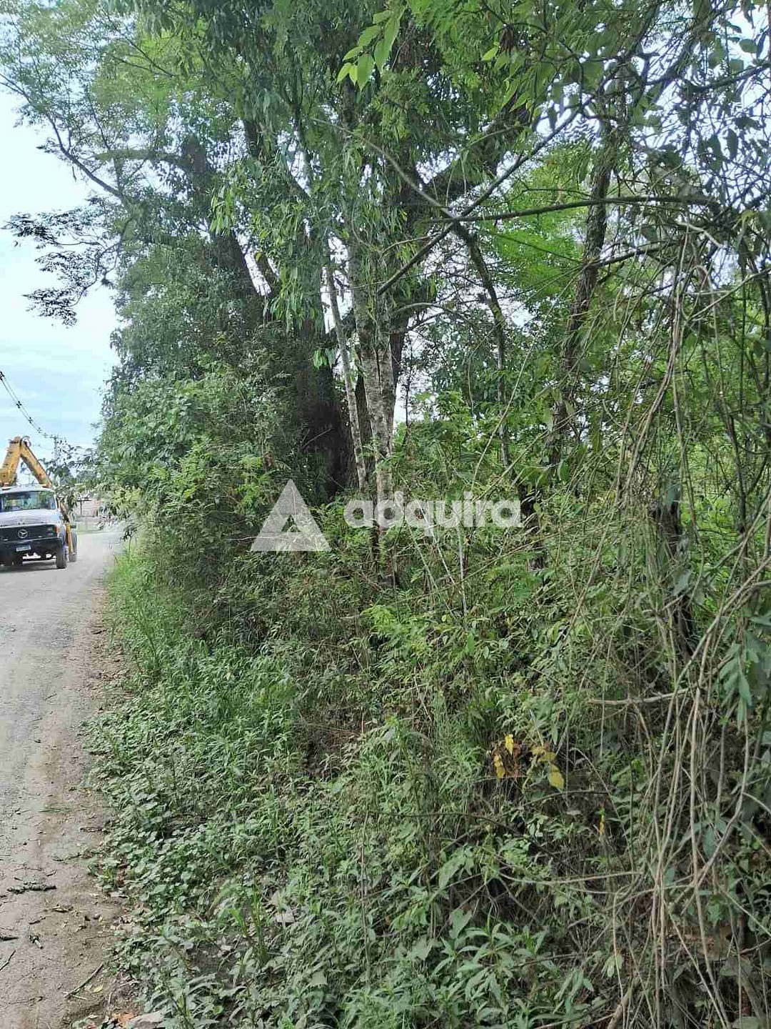 Terreno, 1 hectares - Foto 4