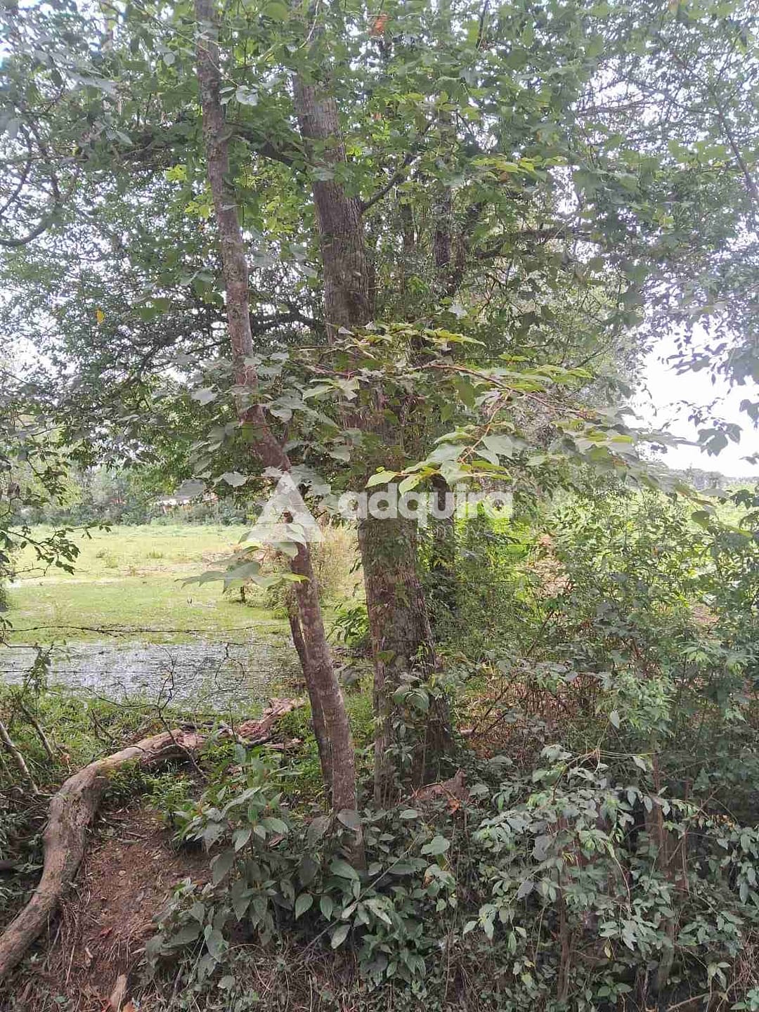 Terreno, 1 hectares - Foto 7