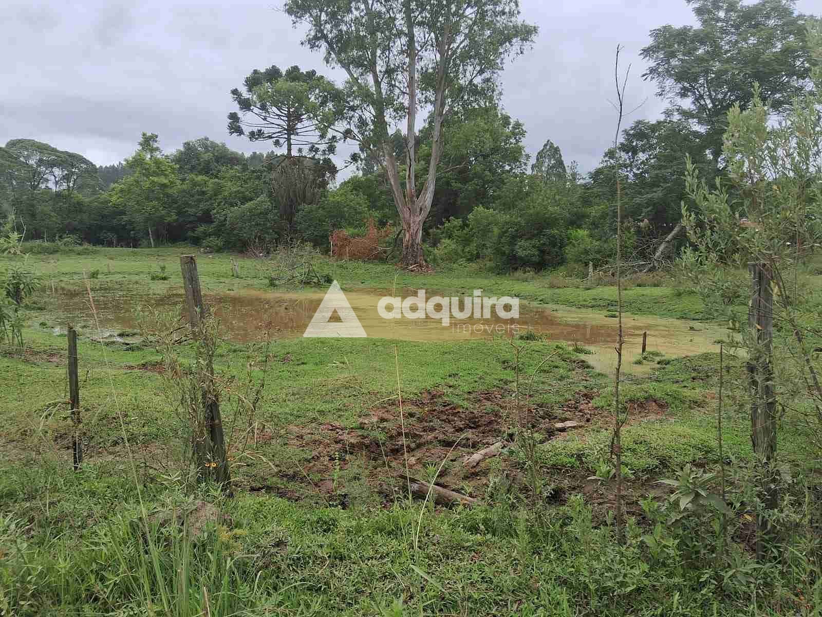 Terreno, 1 hectares - Foto 6