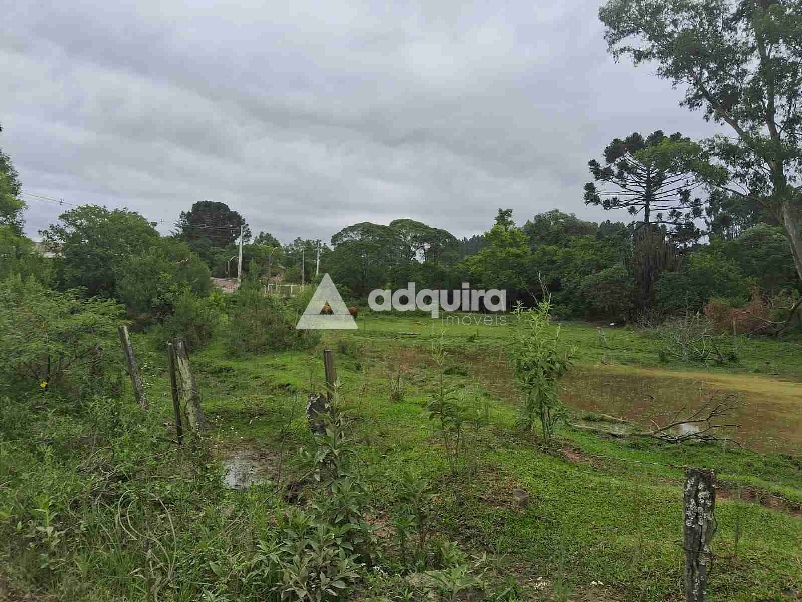 Terreno, 1 hectares - Foto 8