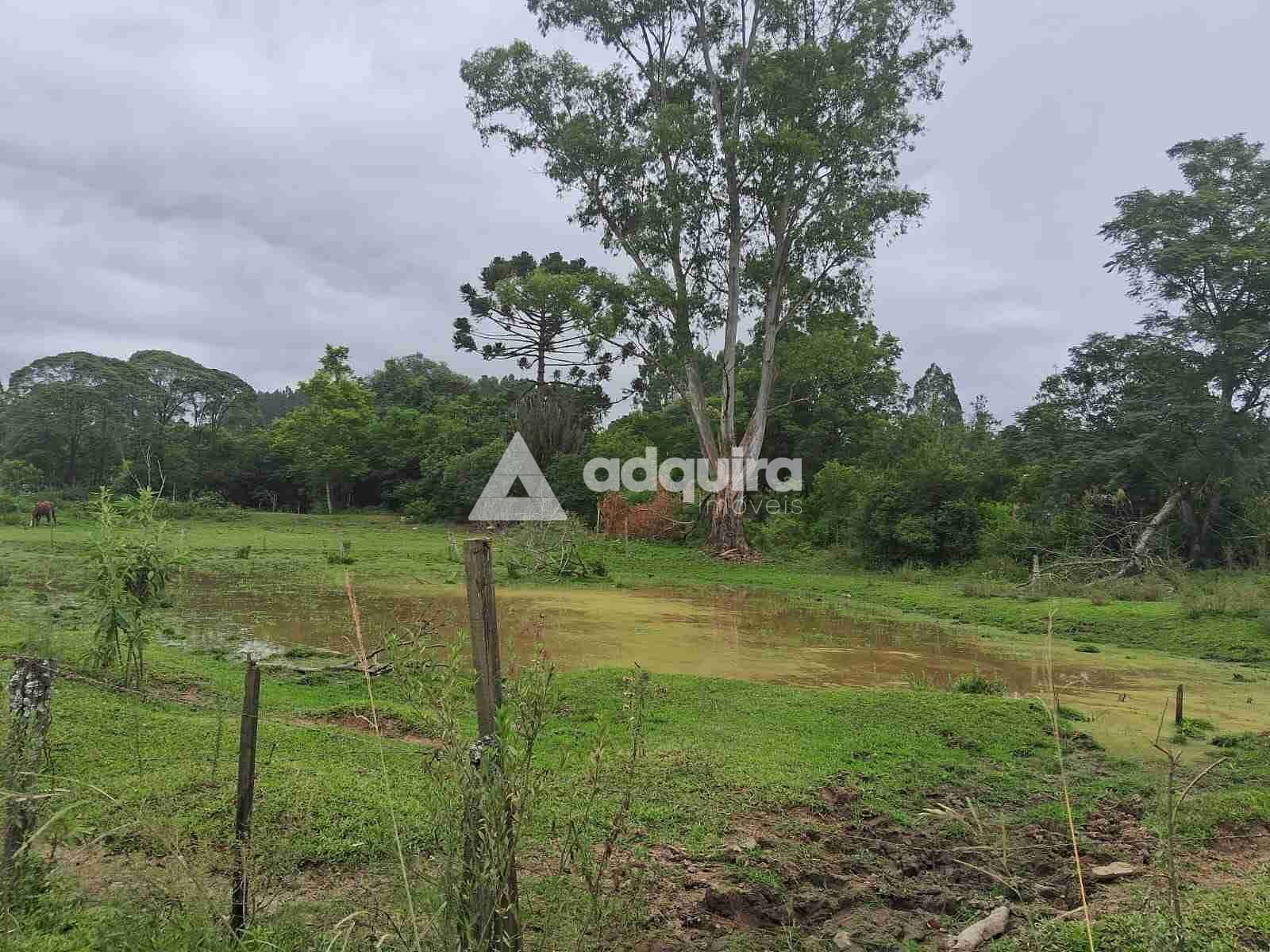 Terreno, 1 hectares - Foto 10