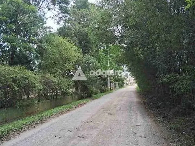 Terreno com 11660m², à venda, no bairro Barreiro em Rebouças