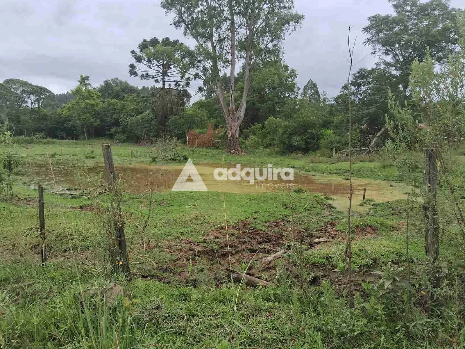 Terreno, 1 hectares - Foto 6