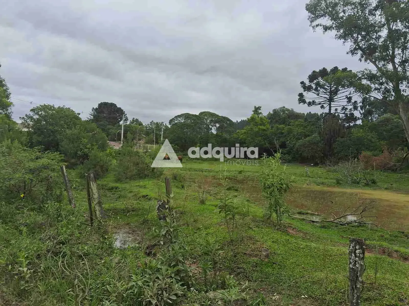 Terreno, 1 hectares - Foto 8