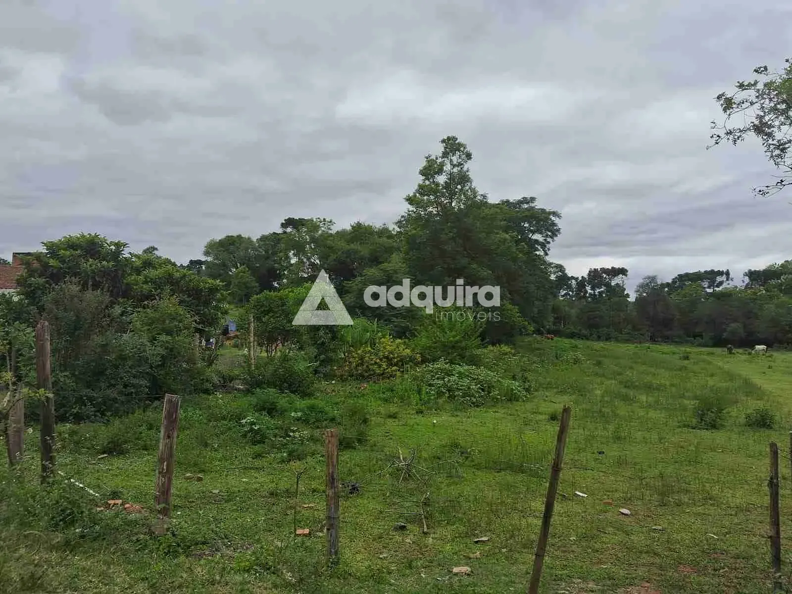 Terreno, 1 hectares - Foto 9