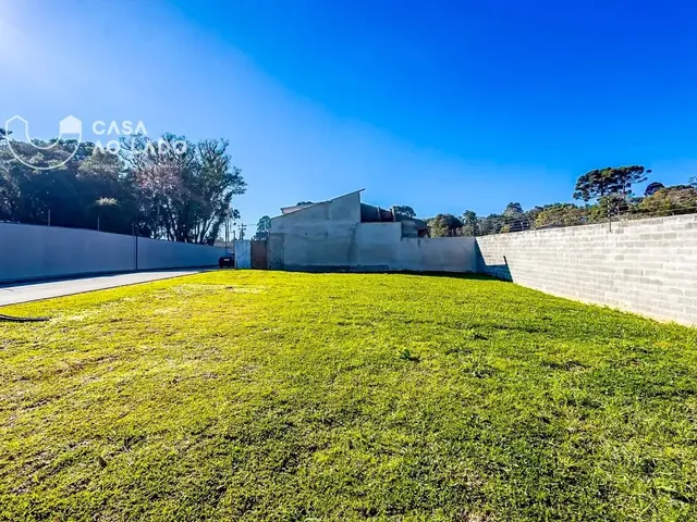 Terreno com 239m², à venda, no bairro Colônia Faria em Colombo