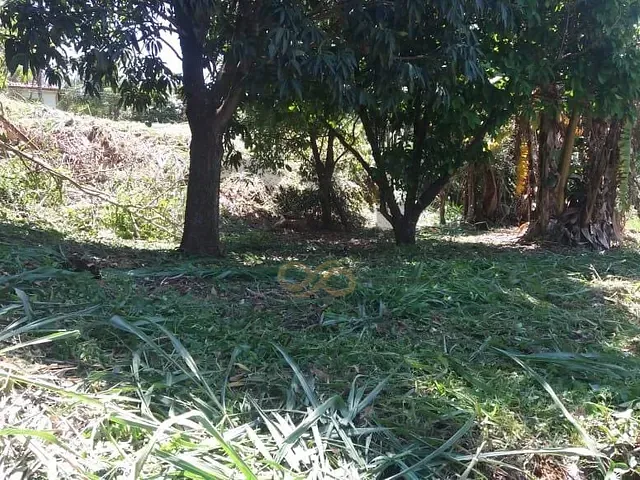 Terreno com 1100m², à venda, no bairro Parque Flamboyant em Amparo