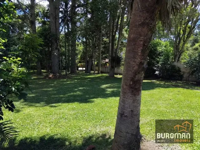 Terreno com 3689m², à venda, no bairro Borda do Campo em São José Dos Pinhais