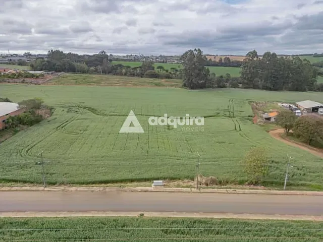 Terreno com 80000m², à venda, no bairro Chapada em Ponta Grossa