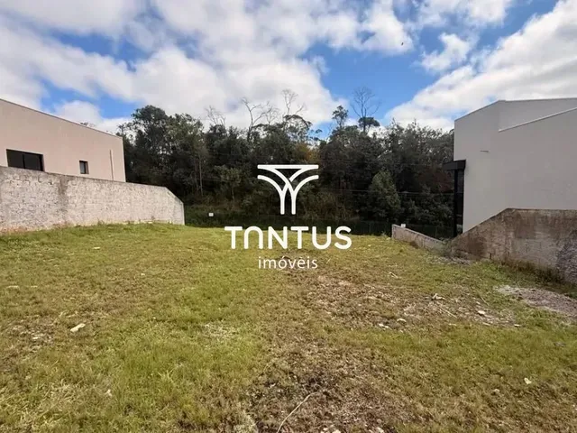 Terreno à venda, no bairro Planta Maracanã em Colombo
